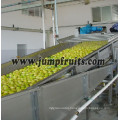 SUS304 fruit and vegetable washing line